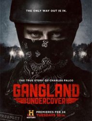Regarder Gangland Undercover en streaming