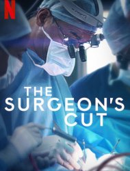 Regarder Chirurgiens d'exception en streaming