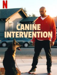 Regarder Canine Intervention en streaming