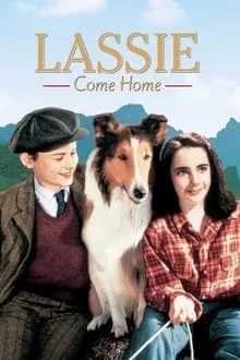 Regarder La Fidèle Lassie en streaming