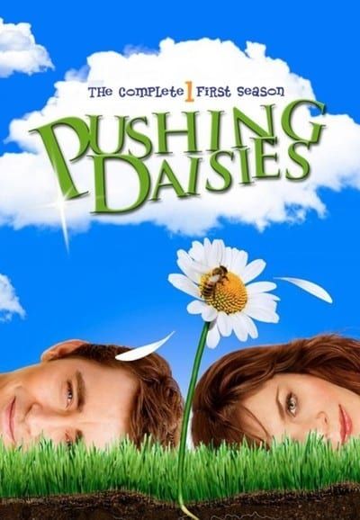 Pushing Daisies saison 1 épisode 9